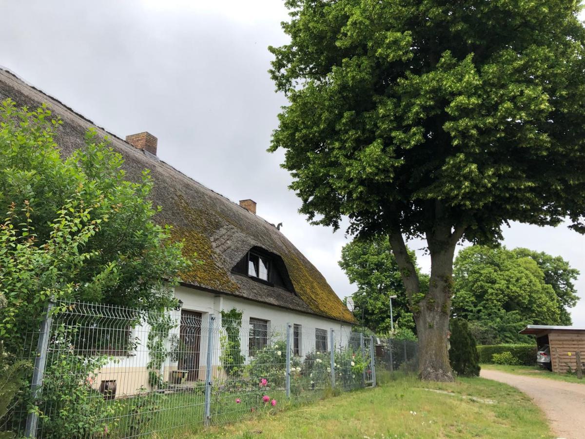 Ferienwohnung Landhaus Zurow Exterior photo